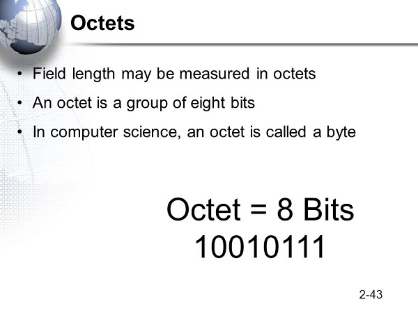 octet điện toán